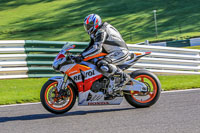 Lower Group Orange Bikes